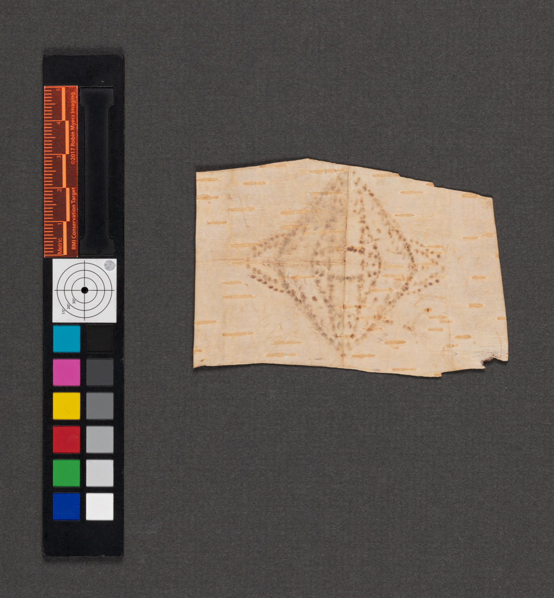 Birchbark biting