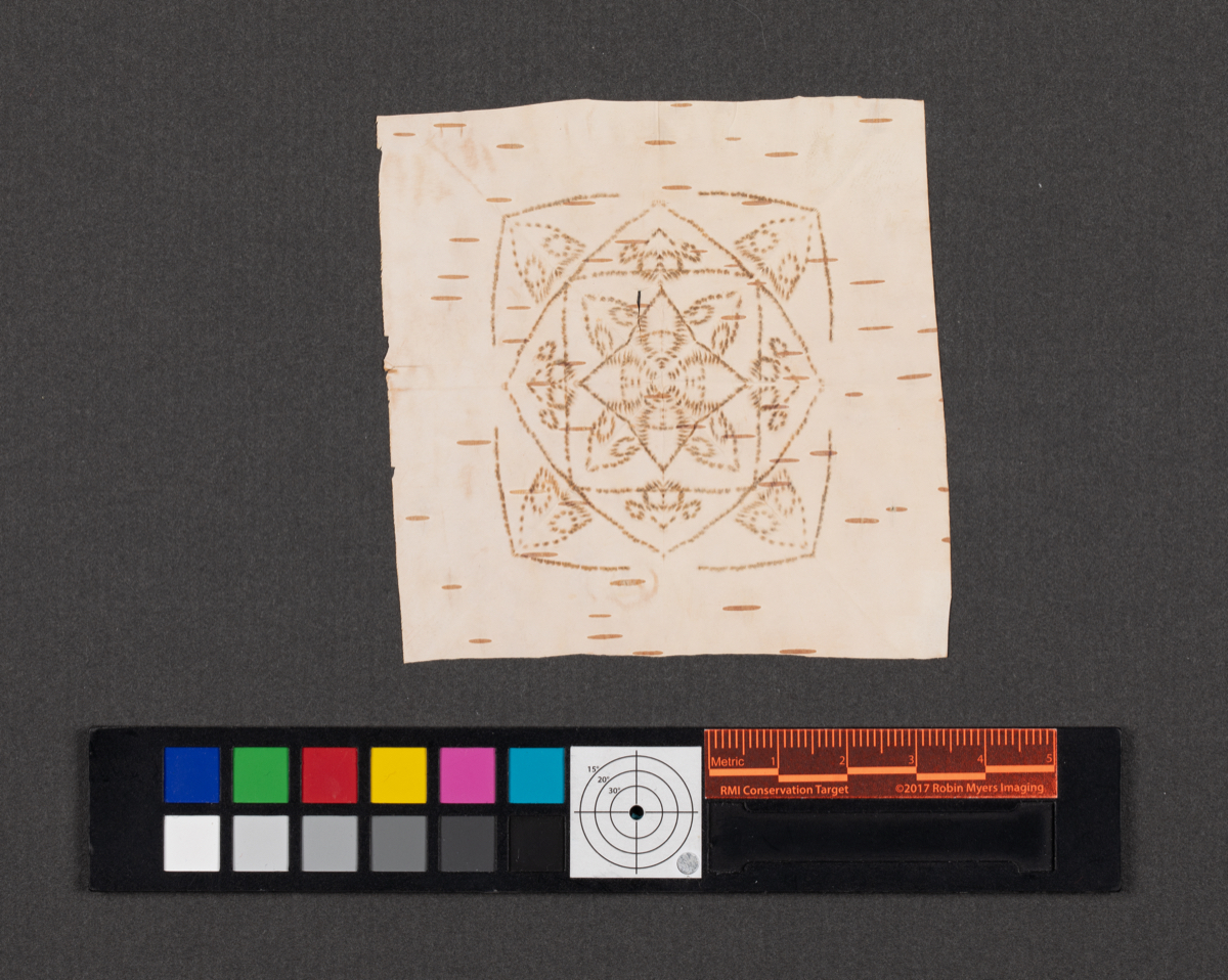 Birchbark biting