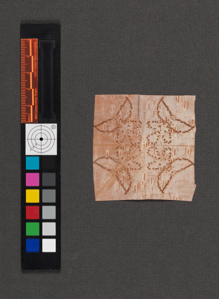 Birchbark biting