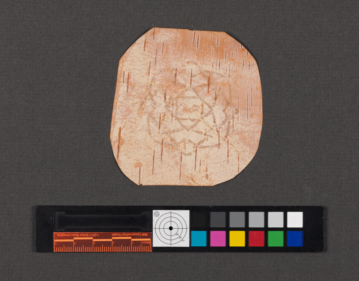 Birchbark biting