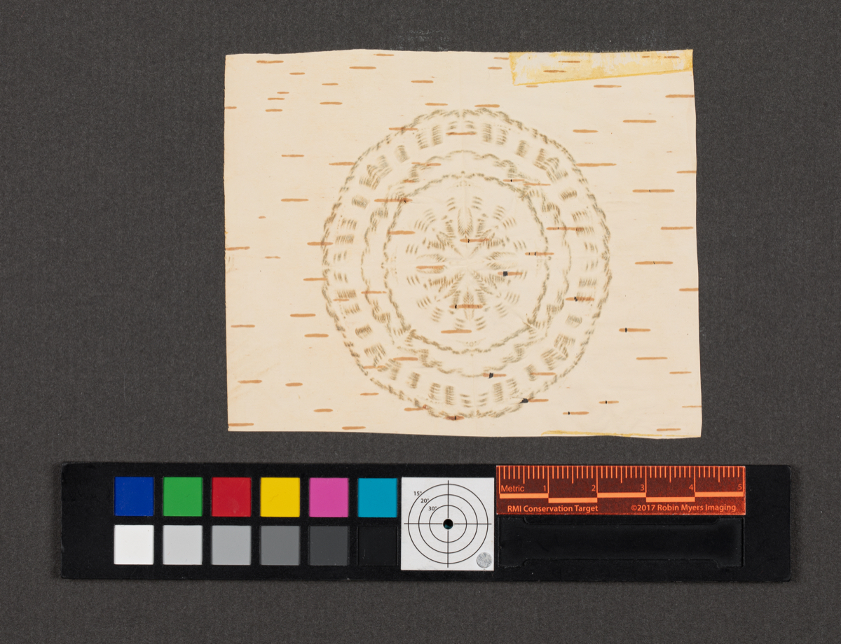 Birchbark biting