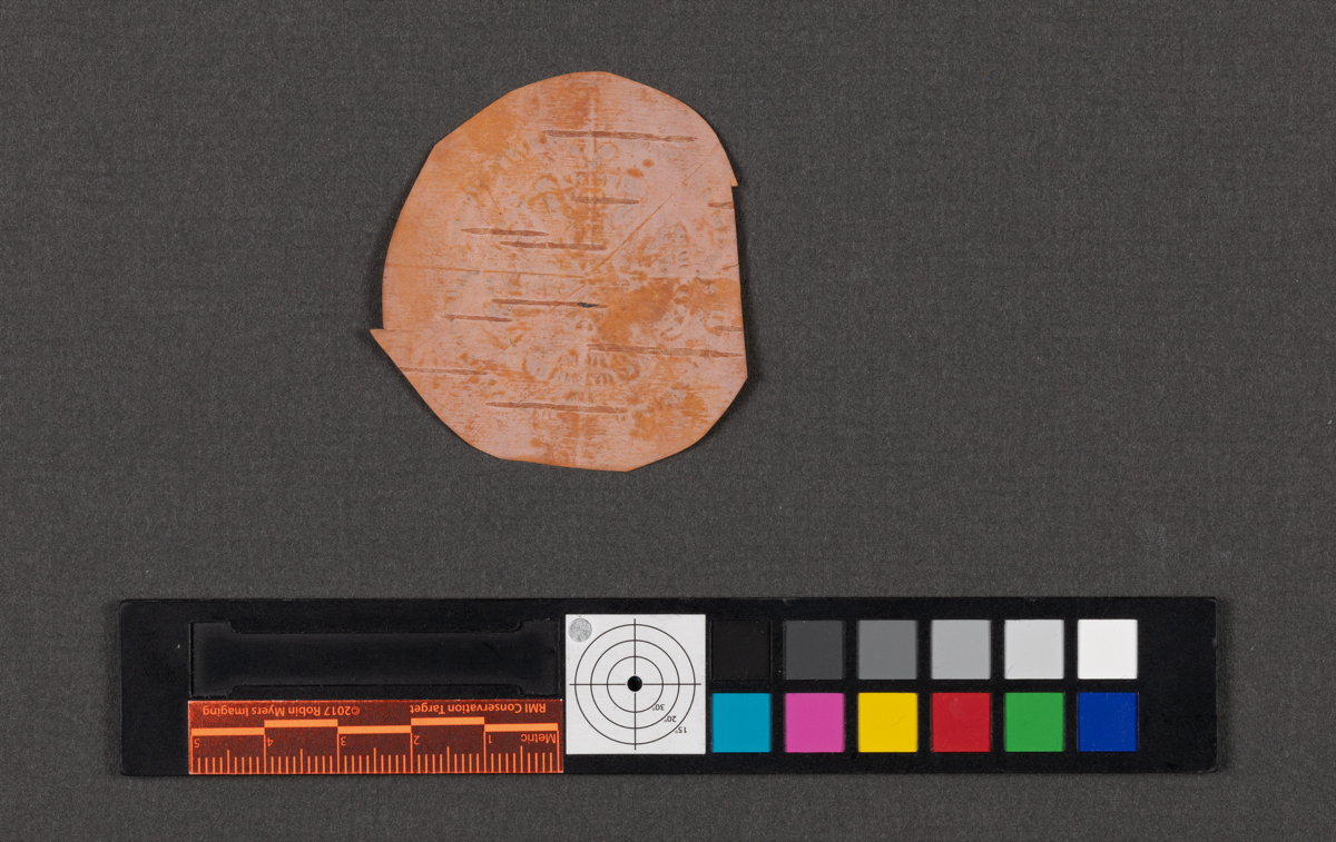 Birchbark biting