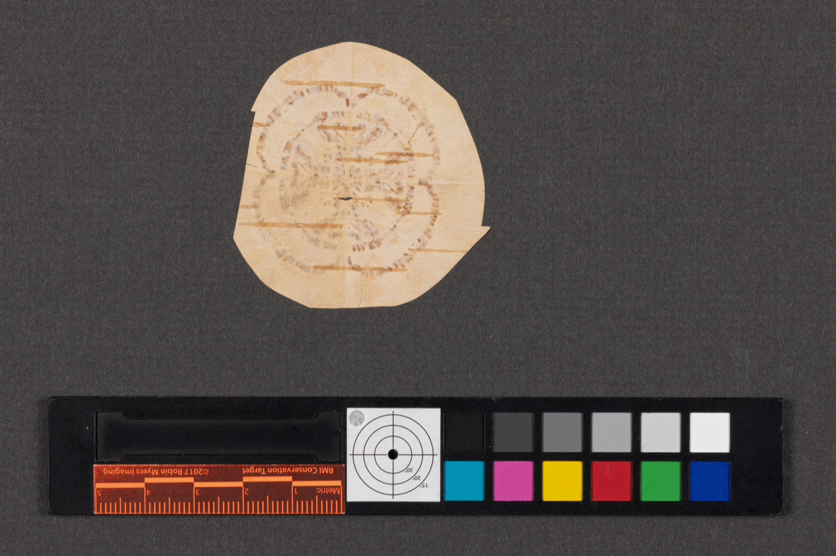 Birchbark biting