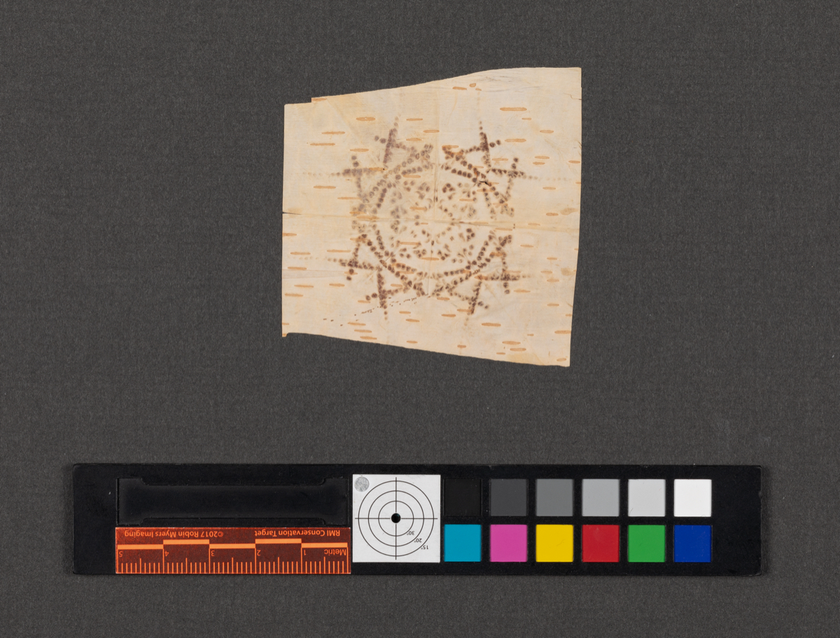 Birchbark biting