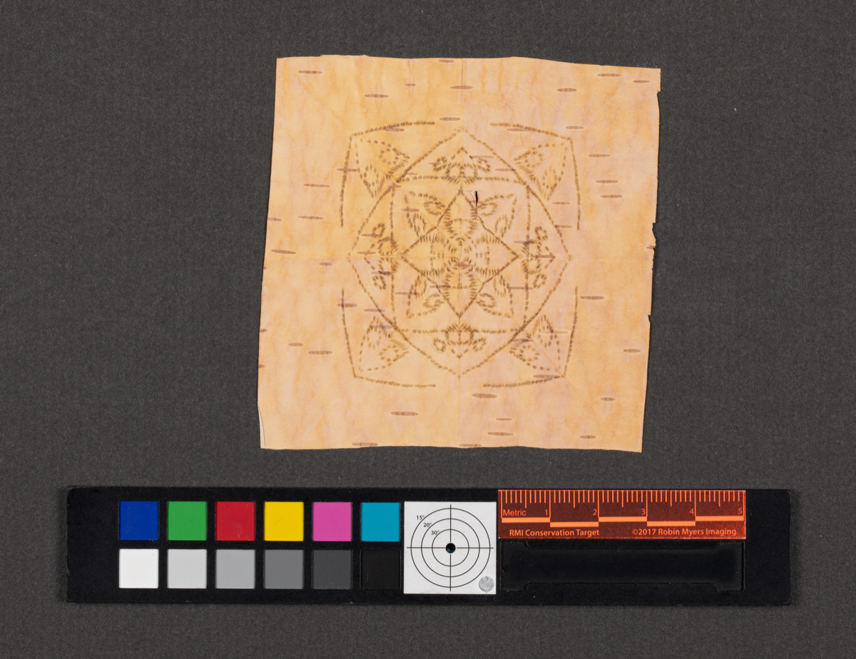Birchbark biting