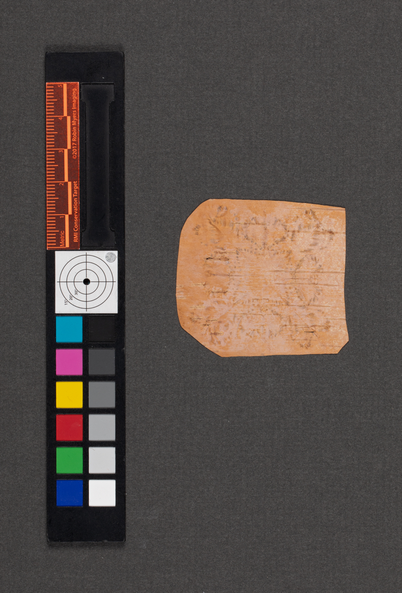 Birchbark biting
