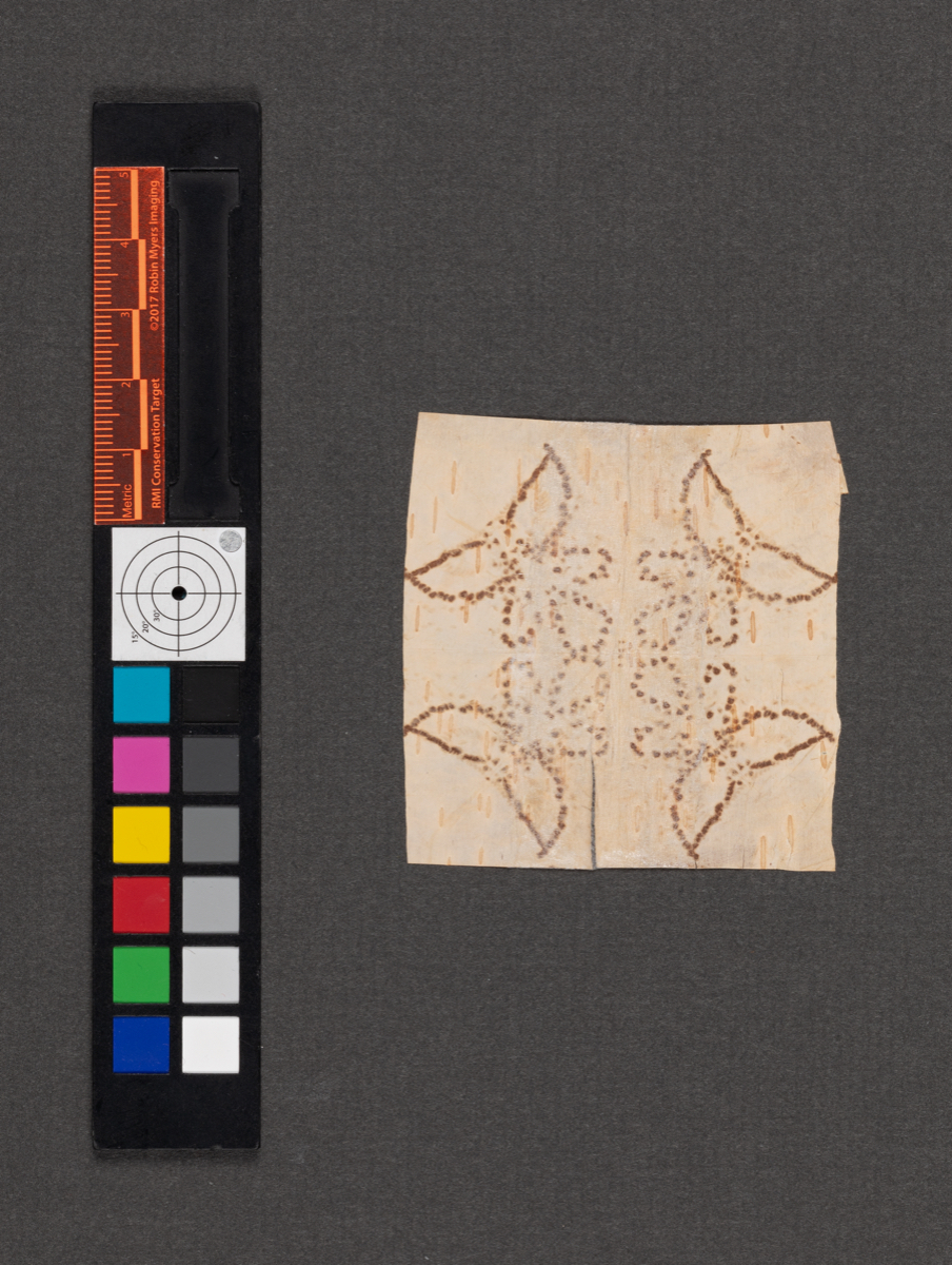 Birchbark biting