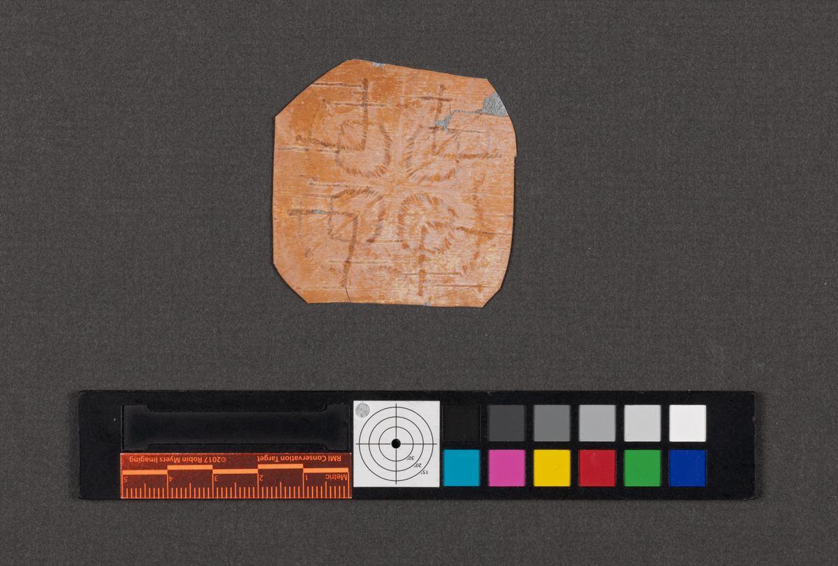 Birchbark biting