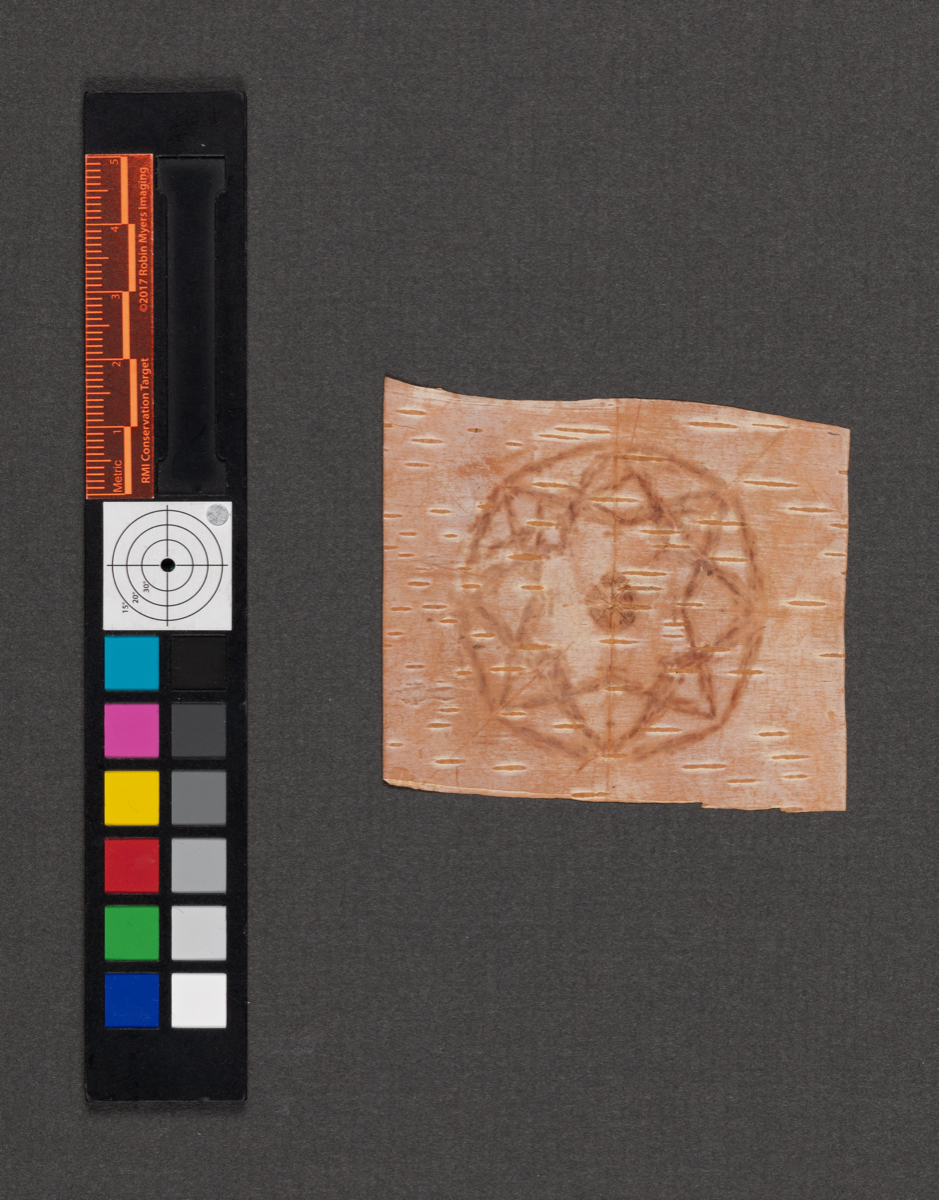 Birchbark biting
