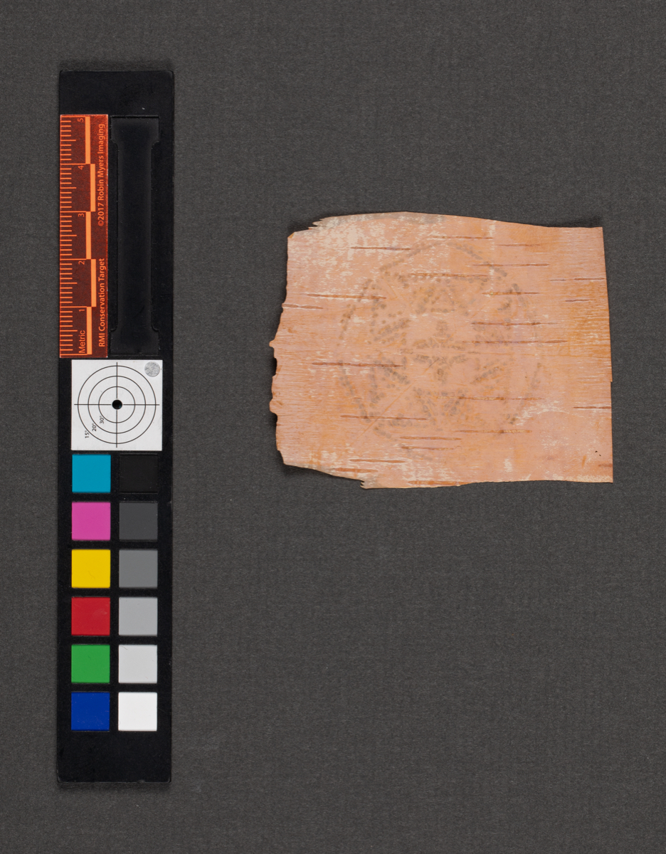 Birchbark biting