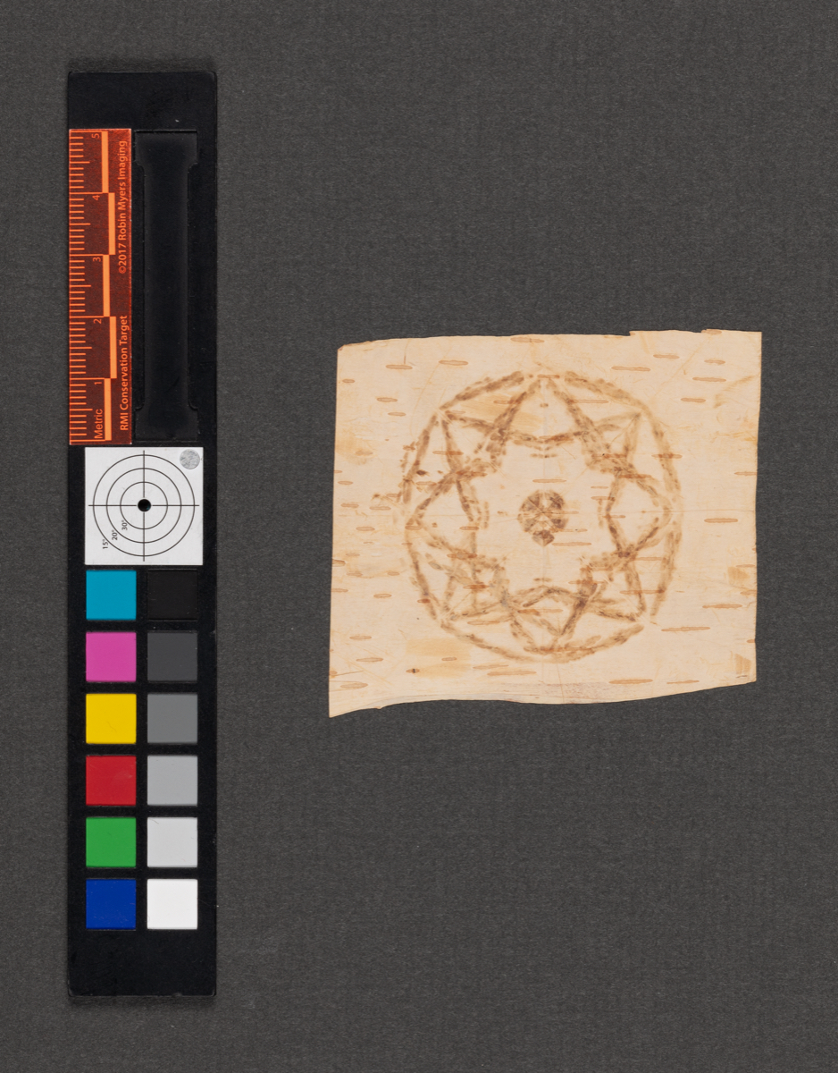 Birchbark biting