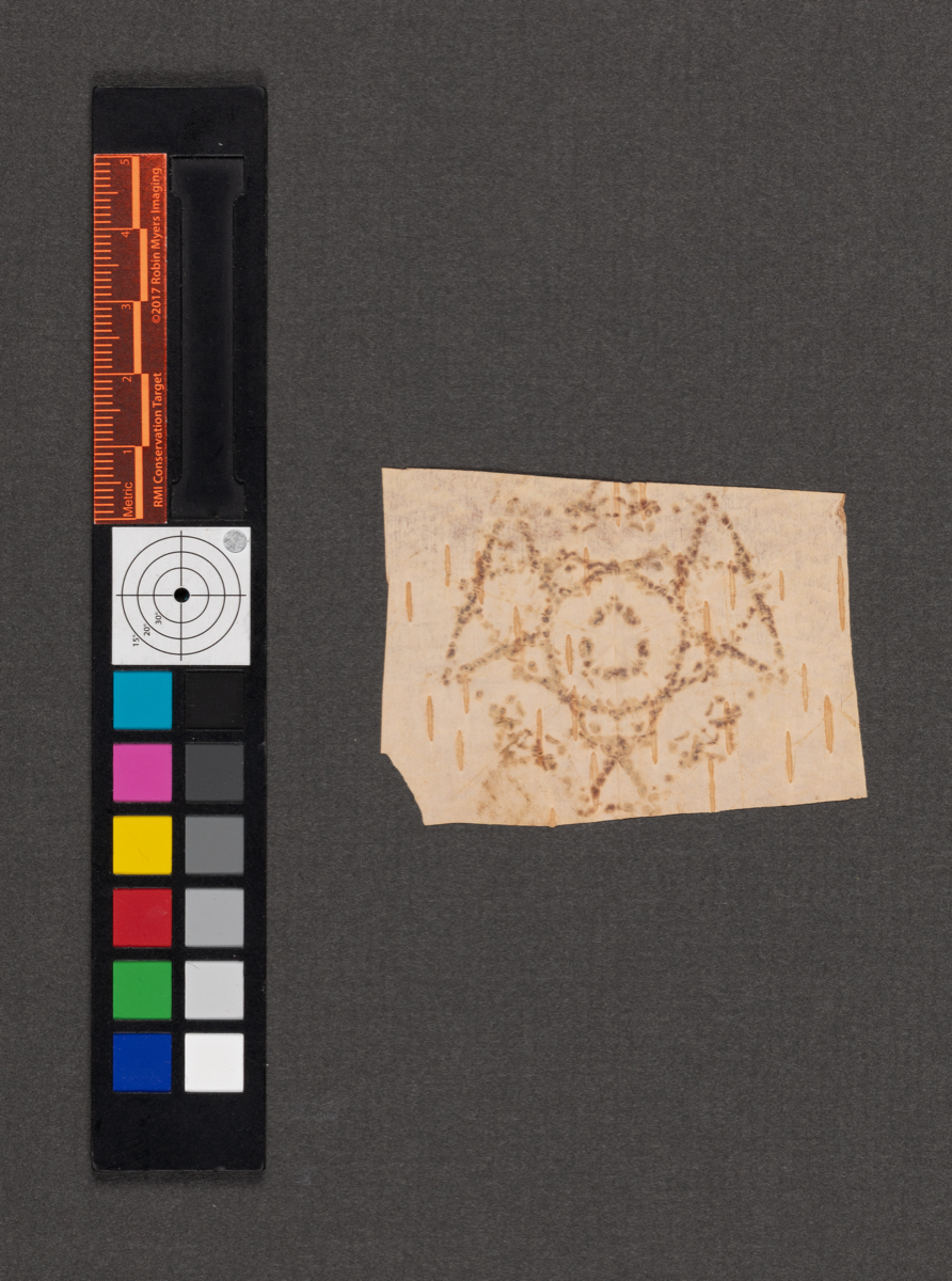 Birchbark biting
