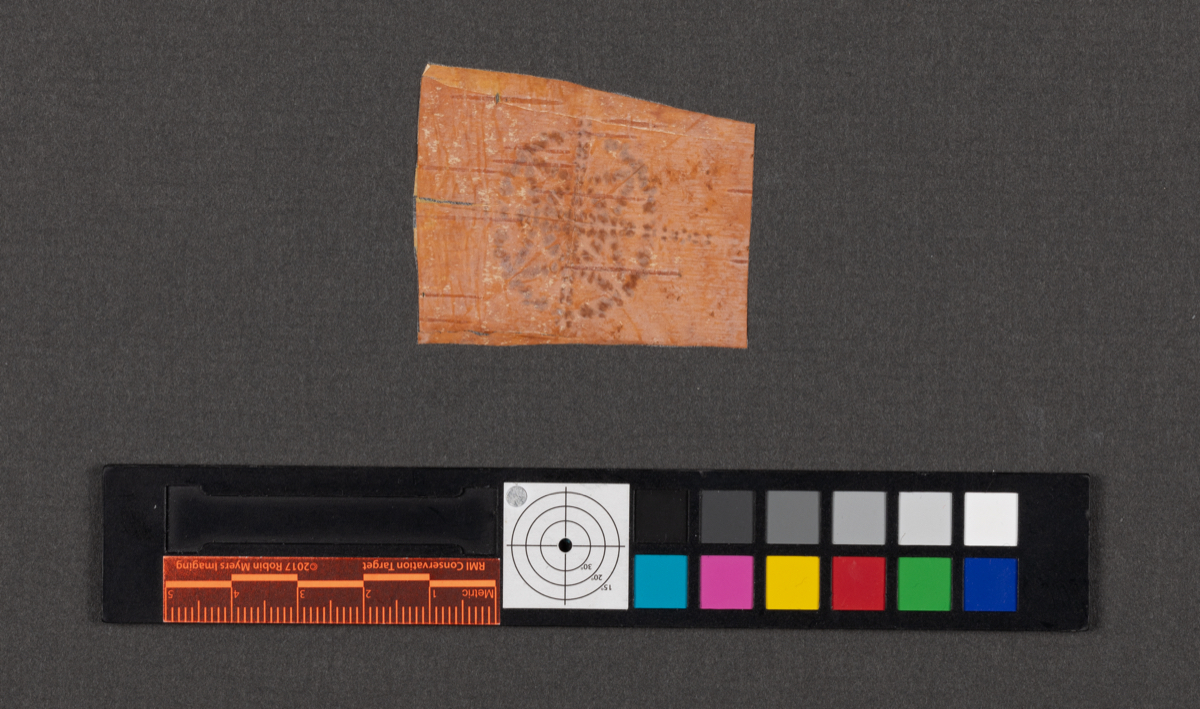 Birchbark biting