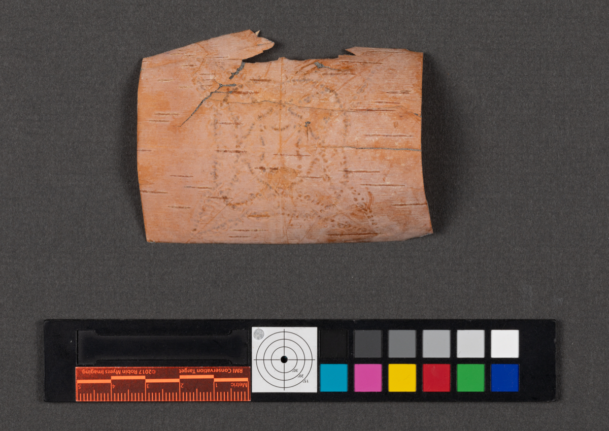 Birchbark biting
Birch bark biting