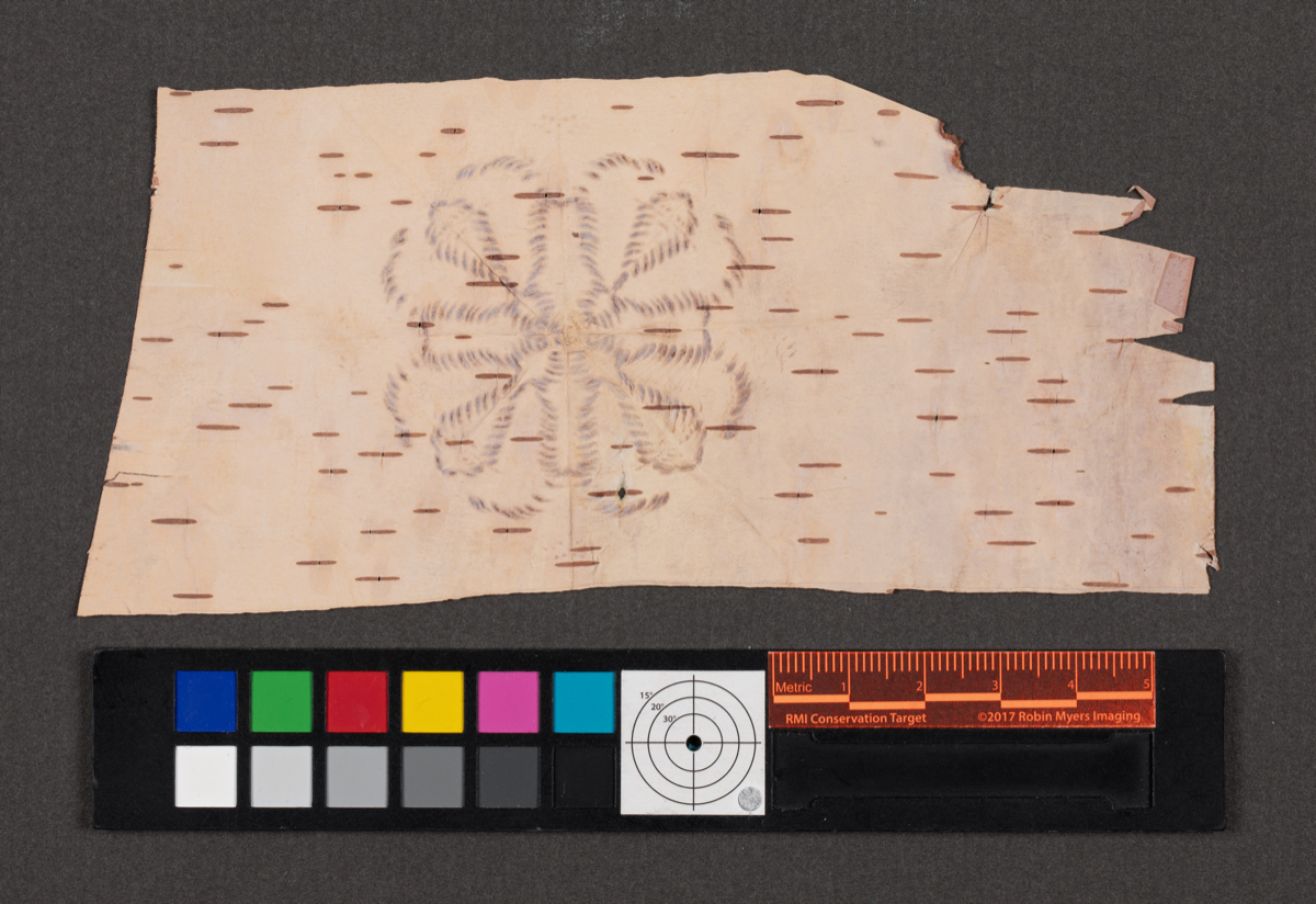 Birch bark biting; Birchbark biting