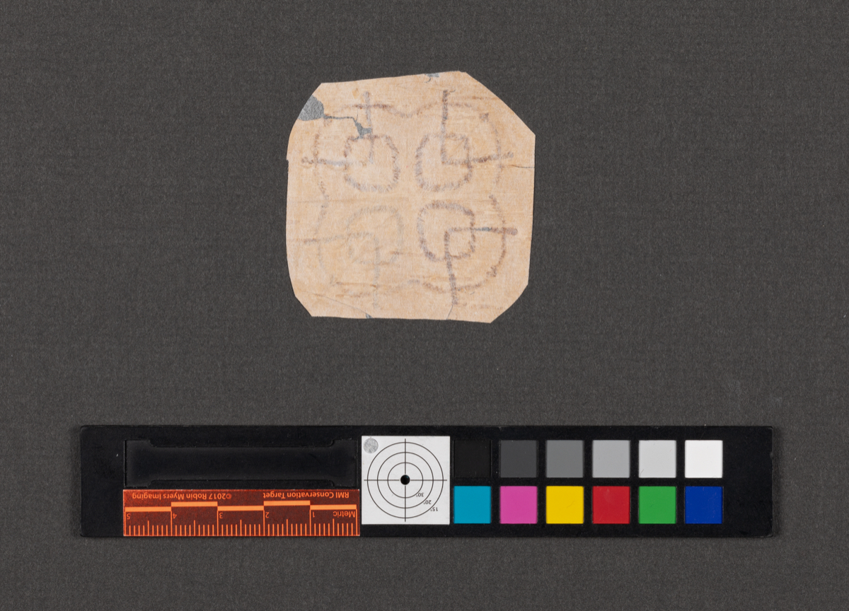 Birchbark biting