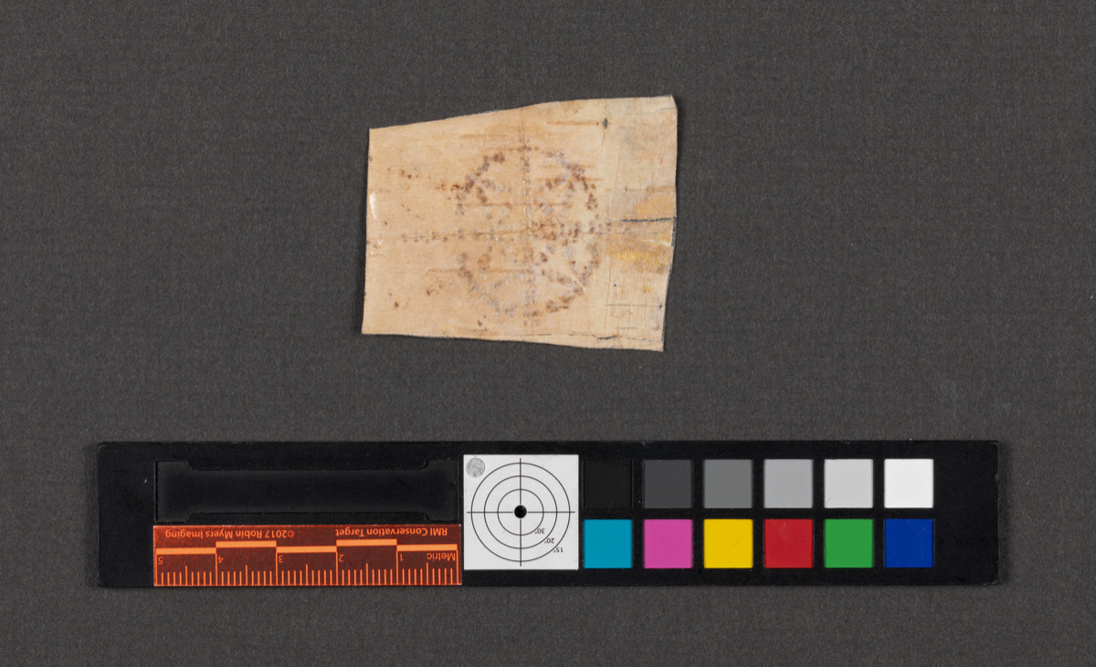 Birchbark biting