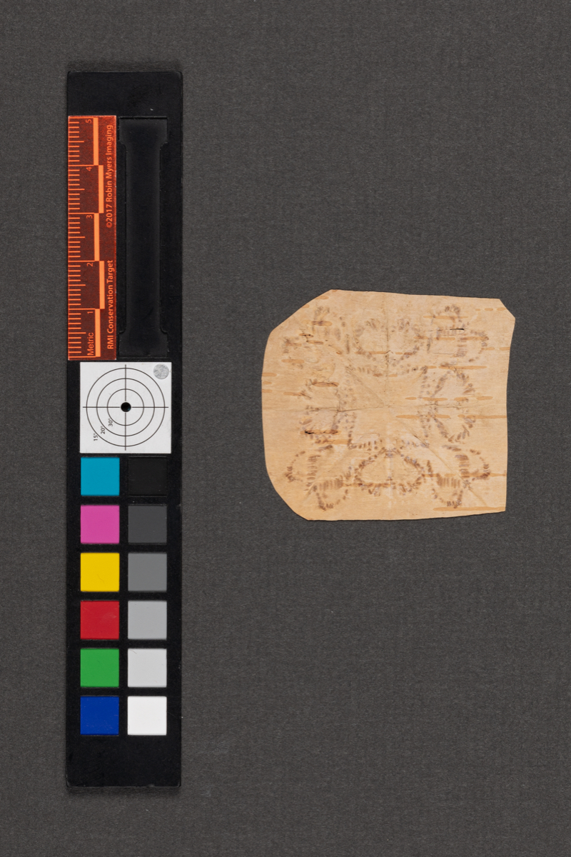 Birchbark biting
