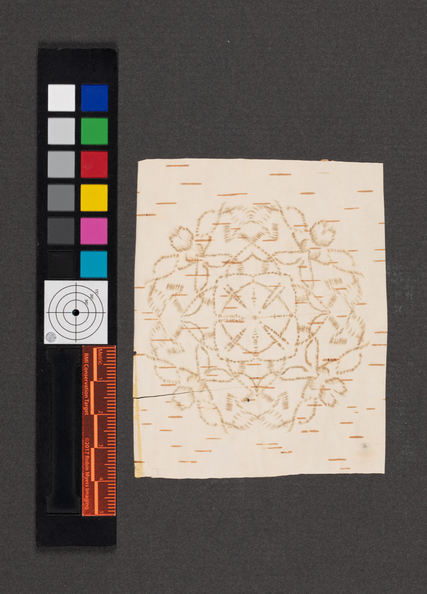 Birchbark biting