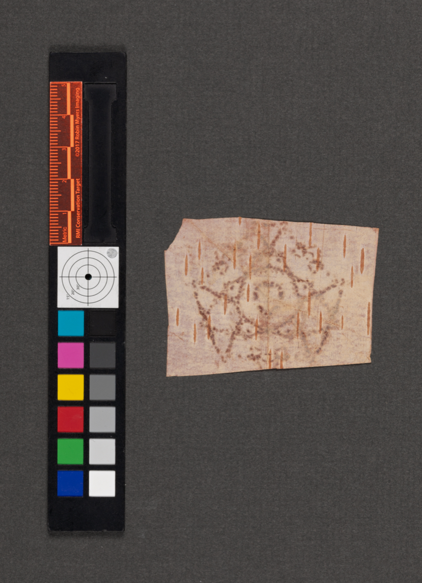 Birchbark biting
