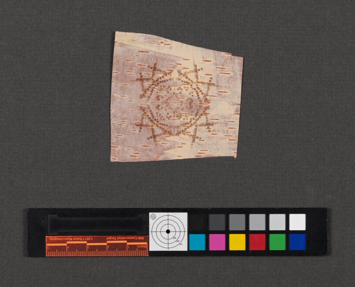 Birchbark biting