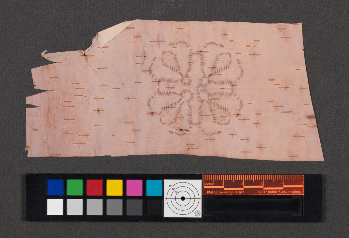 Birch bark biting; Birchbark biting