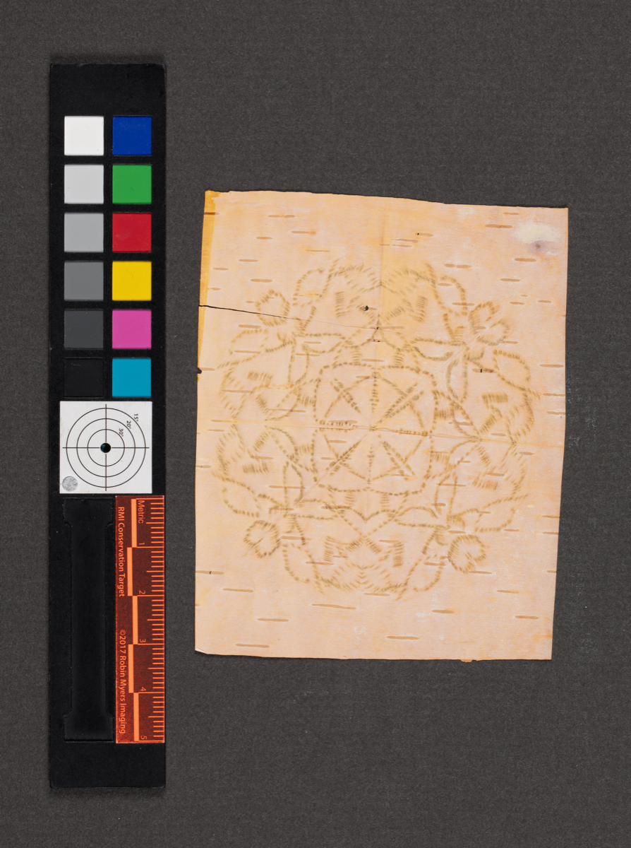 Birchbark biting