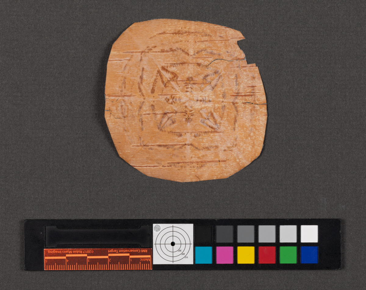 Birchbark biting
