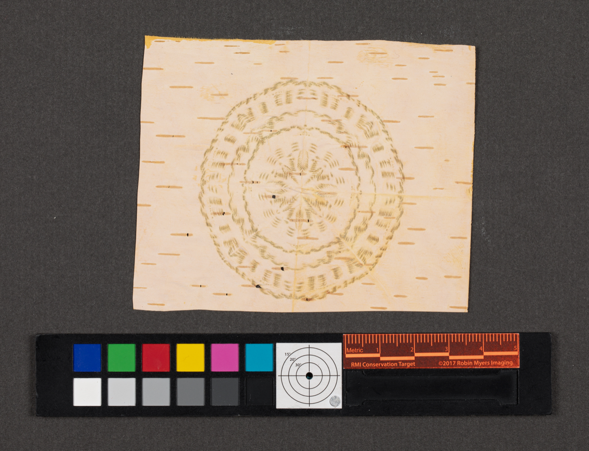 Birchbark biting